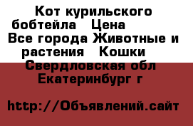 Кот курильского бобтейла › Цена ­ 5 000 - Все города Животные и растения » Кошки   . Свердловская обл.,Екатеринбург г.